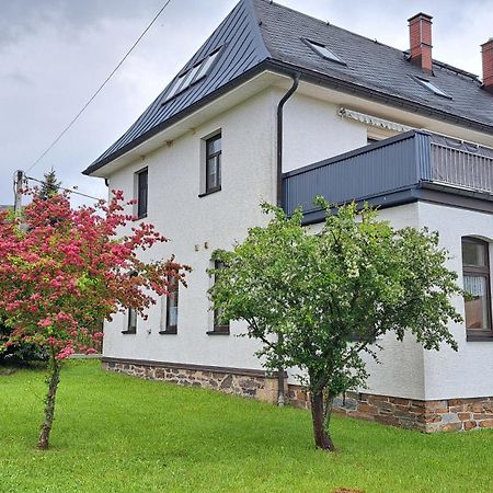 Ferienwohnungen Reiterhof Lienemann Grünbach Extérieur photo