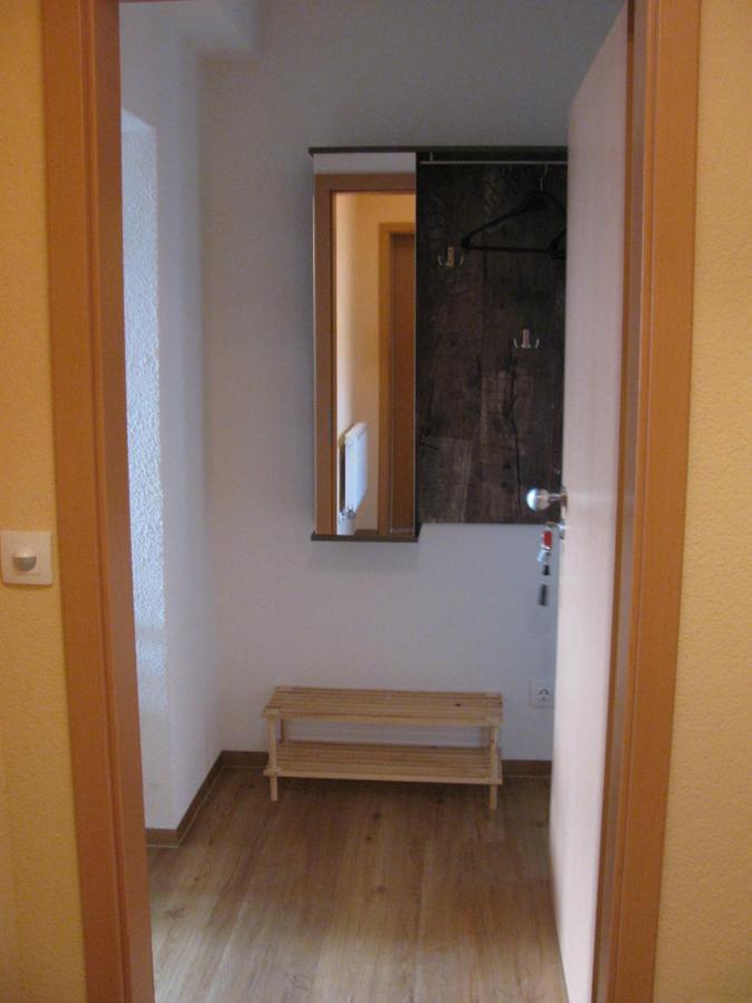 Ferienwohnungen Reiterhof Lienemann Grünbach Extérieur photo